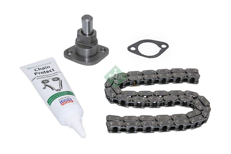 Schaeffler INA 559 1696 10 Timing Chain Kit