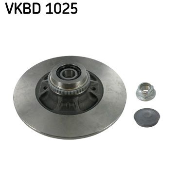 SKF VKBD 1025 Brake Disc