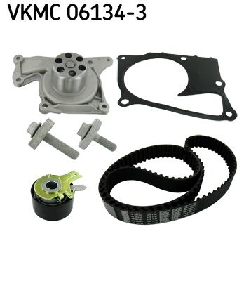 Water Pump & Timing Belt Kit SKF VKMC 06134-3