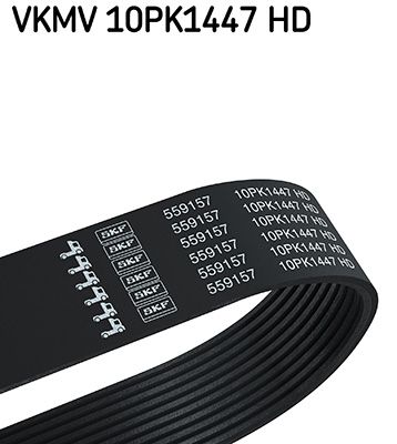 V-Ribbed Belt SKF VKMV 10PK1447 HD