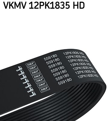 V-Ribbed Belt SKF VKMV 12PK1835 HD