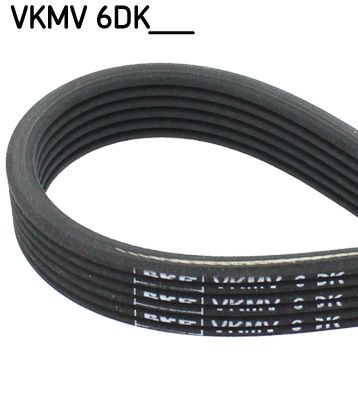SKF VKMV 6DK1352 V-Ribbed Belt