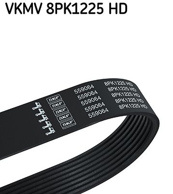 SKF VKMV 8PK1225 HD V-Ribbed Belt