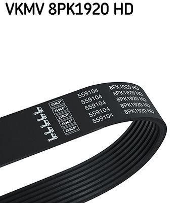 V-Ribbed Belt SKF VKMV 8PK1920 HD