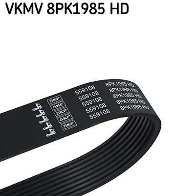 V-Ribbed Belt SKF VKMV 8PK1985 HD