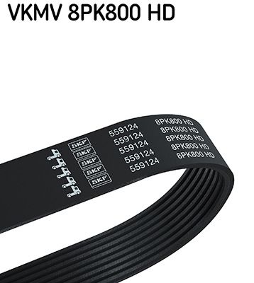 V-Ribbed Belt SKF VKMV 8PK800 HD
