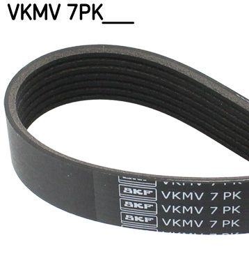 SKF VKMV 7PK1770 V-Ribbed Belt