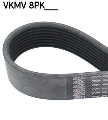 V-Ribbed Belt SKF VKMV 8PK1232