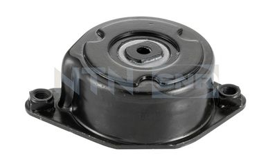 Tensioner Pulley, V-ribbed belt SNR GA350.84