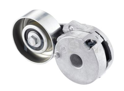 Tensioner Pulley, V-ribbed belt SNR GA355.25