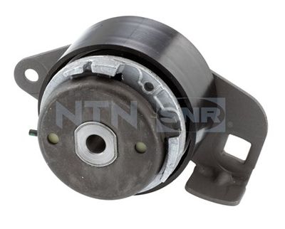 Tensioner Pulley, timing belt SNR GT355.25
