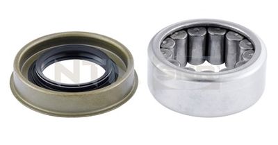 Wheel Bearing Kit SNR R141.34