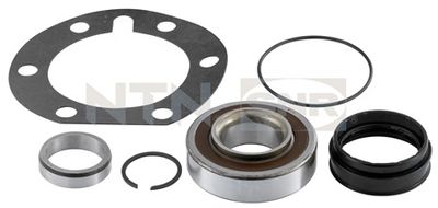 Wheel Bearing Kit SNR R141.57