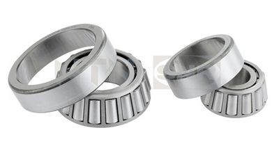 Wheel Bearing Kit SNR R141.89