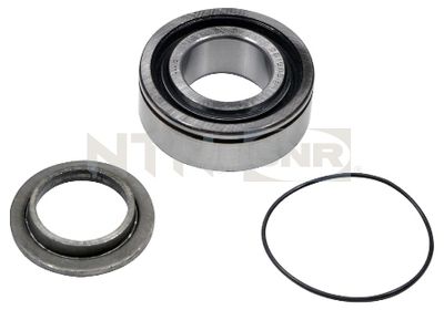 Wheel Bearing Kit SNR R153.09