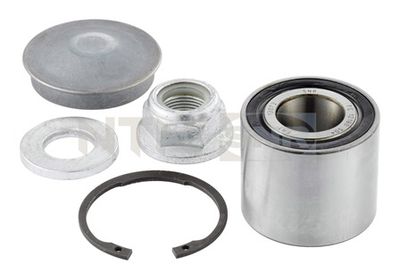 Wheel Bearing Kit SNR R155.17