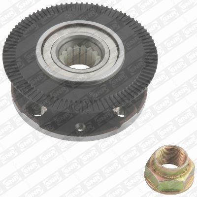 Wheel Bearing Kit SNR R158.19