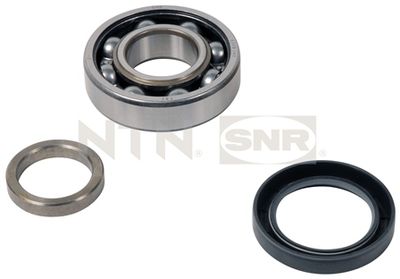 Wheel Bearing Kit SNR R159.09