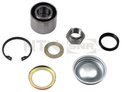 Wheel Bearing Kit SNR R159.19