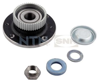 Wheel Bearing Kit SNR R159.39