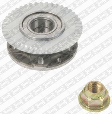 Wheel Bearing Kit SNR R160.22