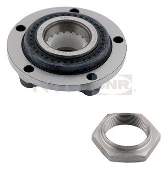 Wheel Bearing Kit SNR R166.21