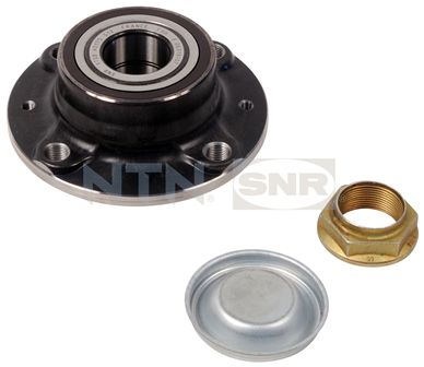 Wheel Bearing Kit SNR R166.31