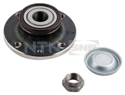 Wheel Bearing Kit SNR R166.32