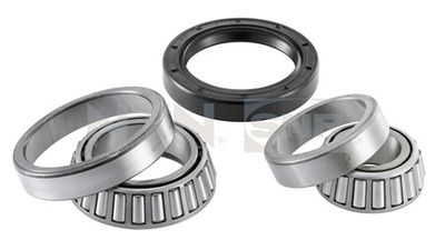 Wheel Bearing Kit SNR R167.05