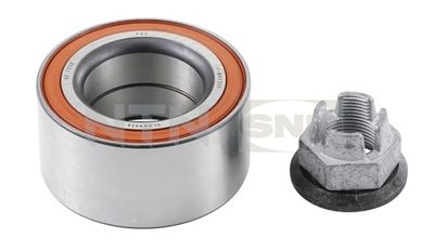 Wheel Bearing Kit SNR R167.12