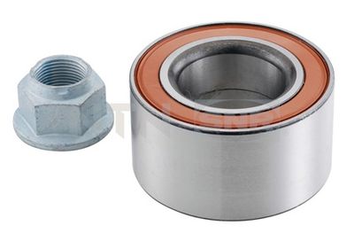 Wheel Bearing Kit SNR R167.19