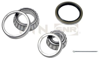 Wheel Bearing Kit SNR R168.17