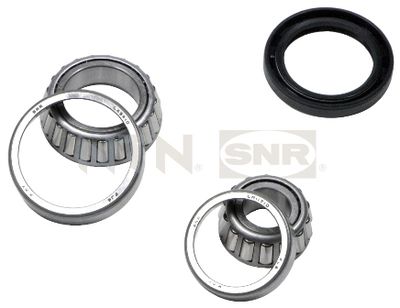 Wheel Bearing Kit SNR R169.01
