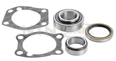 Wheel Bearing Kit SNR R169.03