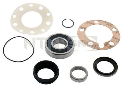 Wheel Bearing Kit SNR R169.43