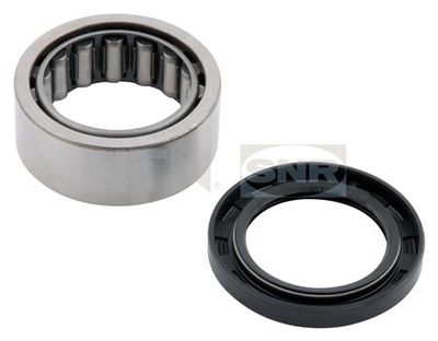 Wheel Bearing Kit SNR R169.44