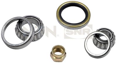 Wheel Bearing Kit SNR R170.05