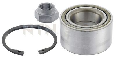 Wheel Bearing Kit SNR R170.07