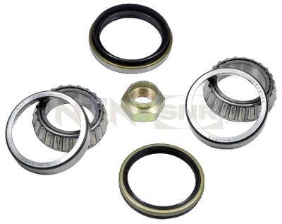 Wheel Bearing Kit SNR R170.09