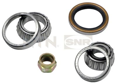 Wheel Bearing Kit SNR R170.11