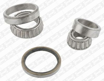 Wheel Bearing Kit SNR R170.19