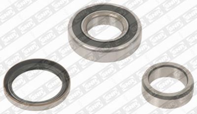 Wheel Bearing Kit SNR R170.21