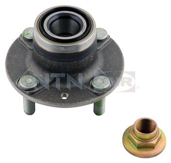 Wheel Bearing Kit SNR R170.25