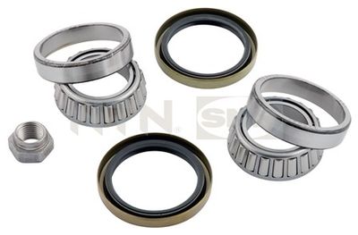 Wheel Bearing Kit SNR R172.01