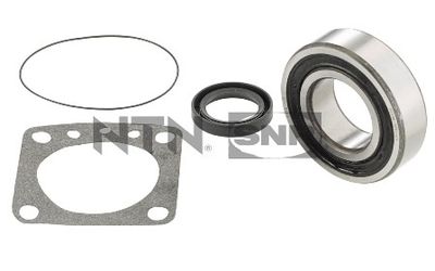 Wheel Bearing Kit SNR R172.02