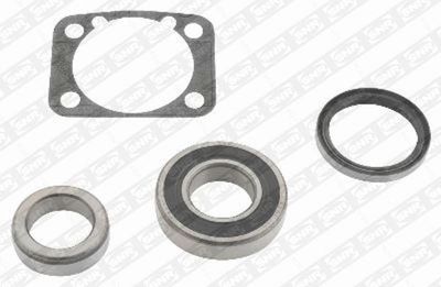 Wheel Bearing Kit SNR R173.05