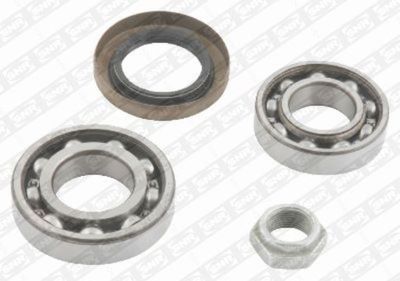 Wheel Bearing Kit SNR R173.11