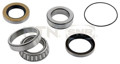Wheel Bearing Kit SNR R173.21