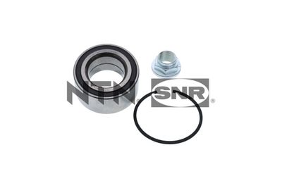 Wheel Bearing Kit SNR R174.106