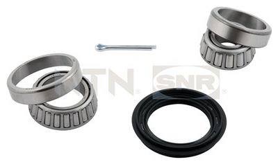 Wheel Bearing Kit SNR R174.17